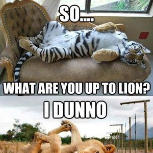 Как переводится What are you up to