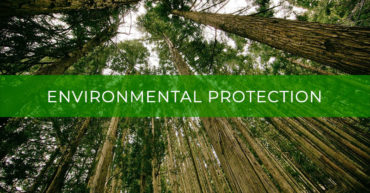 Environmental Protection – Топик Защита окружающей среды